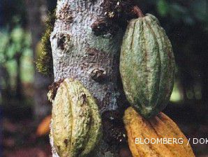 Pemerintah siapkan gimmick untuk calon investor kakao