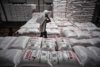 Indonesia Berpeluang Perluas Ekspor Pupuk di Tengah Krisis Pasokan Global