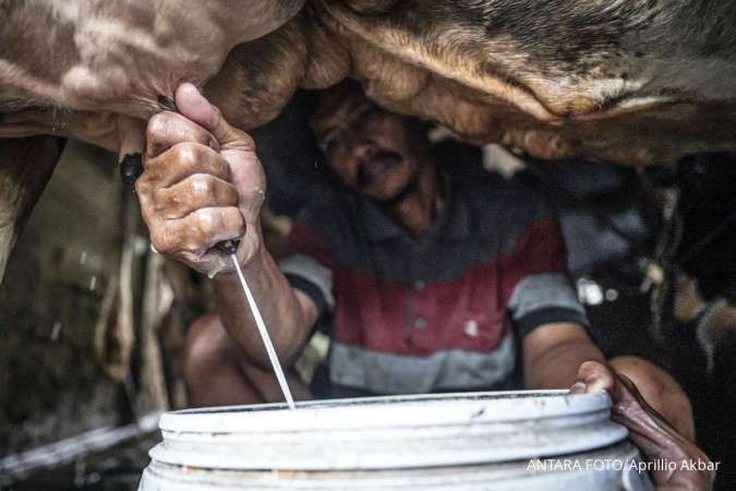 Asosiasi Susu Tolak Imbauan BGN Hentikan Penggunaan Susu Kemasan Bermerek di MBG