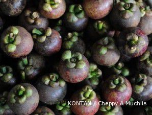 Manggis saburai melenggang ke pasar ekspor (2)