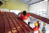 Selain Genteng dan Seng, Atap UPVC Kini Jadi Pilihan Populer