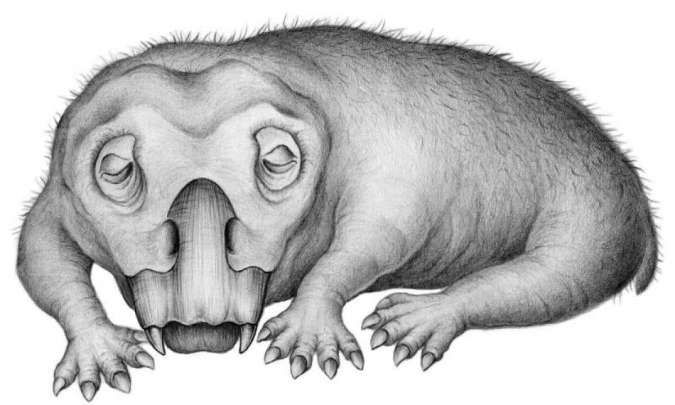 Mamalia zaman Triassic, Lyscrosaurus bertahan lebih lama lewat hibernasi musim dingin