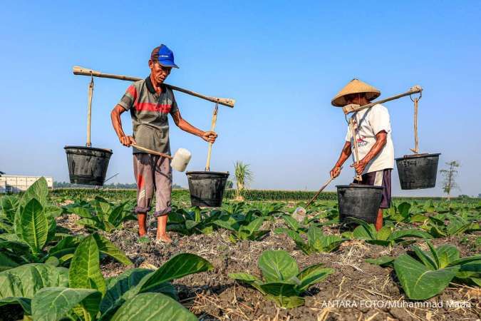 Antisipasi El Nino di 2026, Pemerintah Perkuat Irigasi hingga Asuransi Pertanian