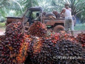 Koreksi harga memicu minat beli, harga CPO melejit 0,9% 