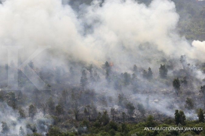 Kebakaran hutan mulai melanda Pekanbaru