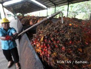 PT Perkebunan Sumatera Utara rencanakan IPO lima tahun mendatang