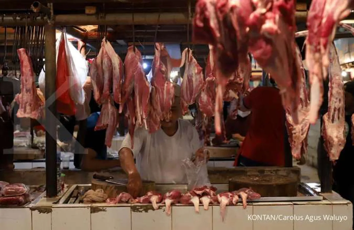 Tekan Harga, KSP Minta Realisasi Impor Daging Sapi Dipercepat