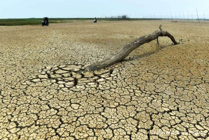 BMKG Beri Peringatan Dini Kekeringan Meteorologis, Daerah Ini Masuk Kategori Awas