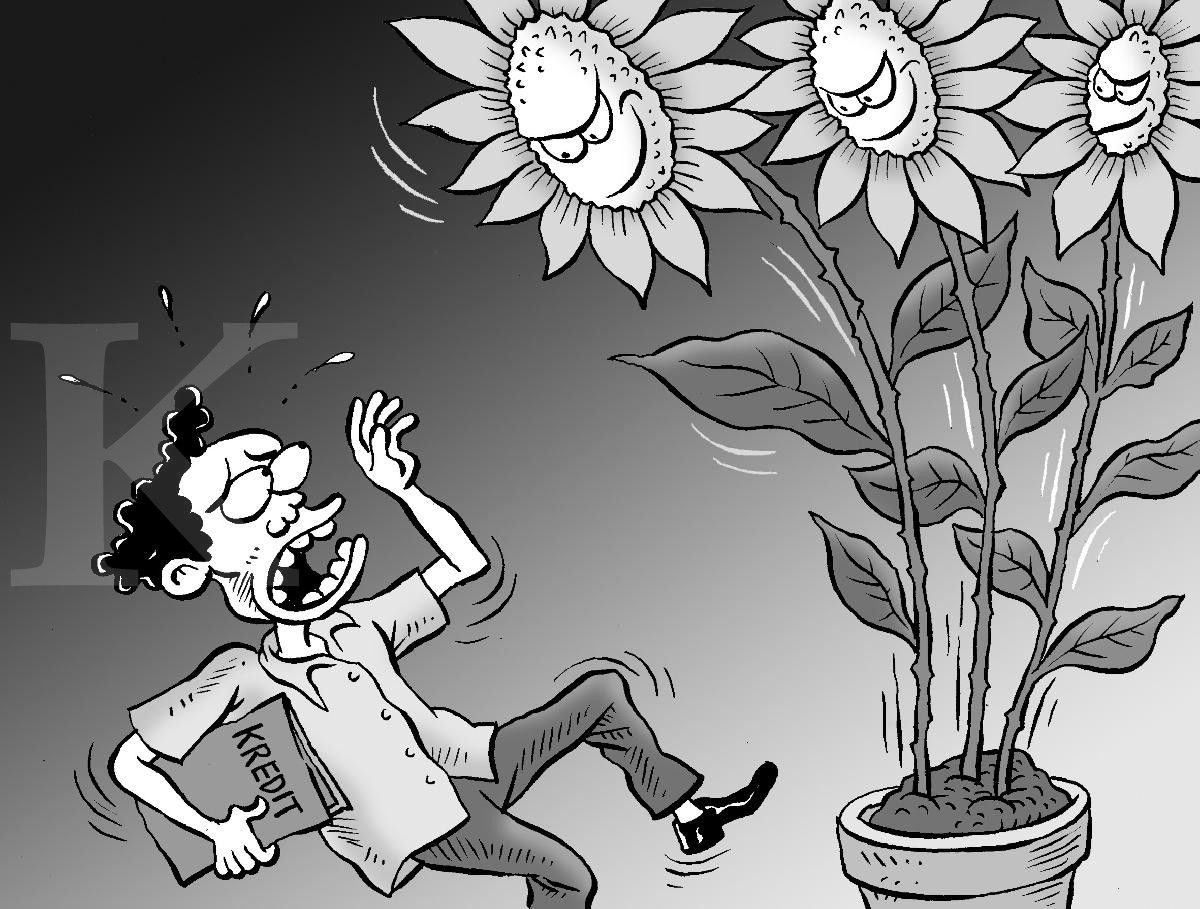 Harga Rumah dan Bunga KPR Naik