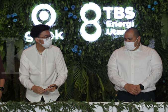 Bertransformasi ke Energi Hijau, Begini Prospek TBS Energi Utama (TOBA)