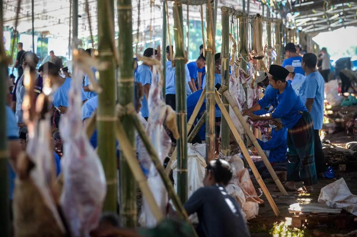Daya Beli Lesu, Perputaran Ekonomi Kurban Melemah, Korporasi Tetap Gencar Berkurban