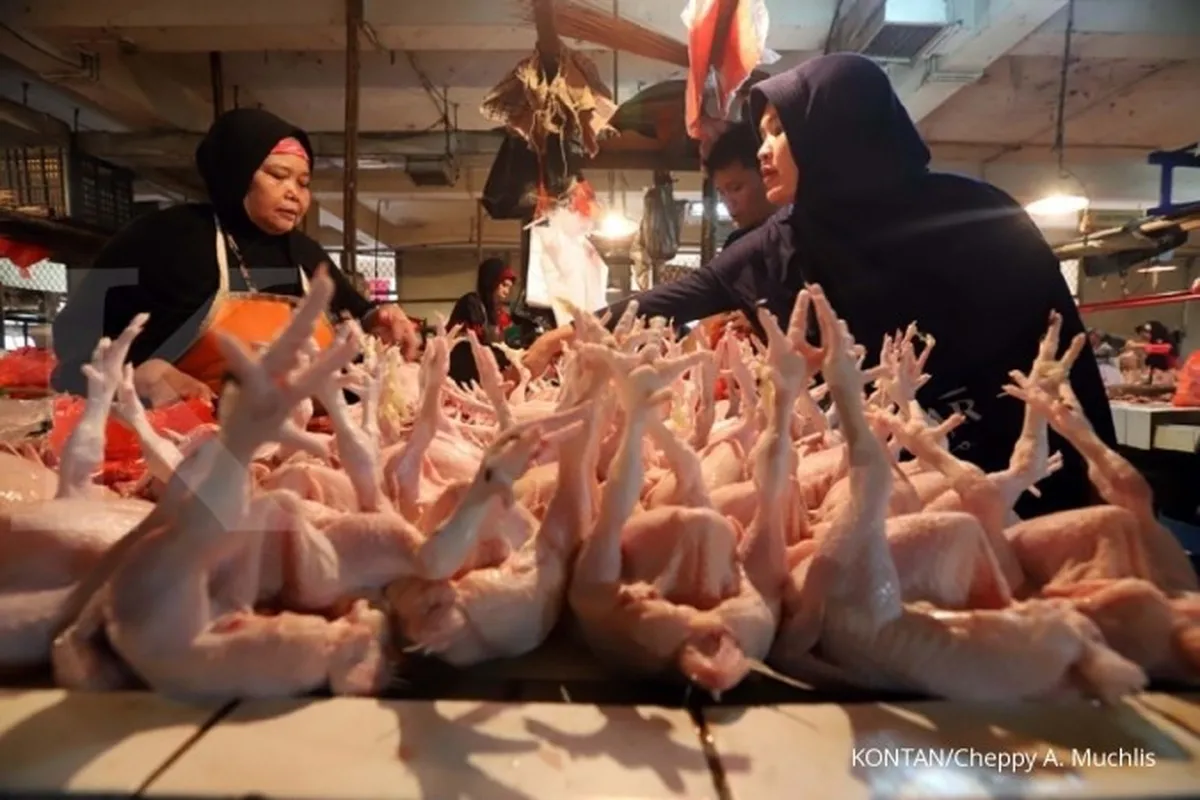 Harga beberapa komoditas pangan masih tinggi, apa sebabnya?