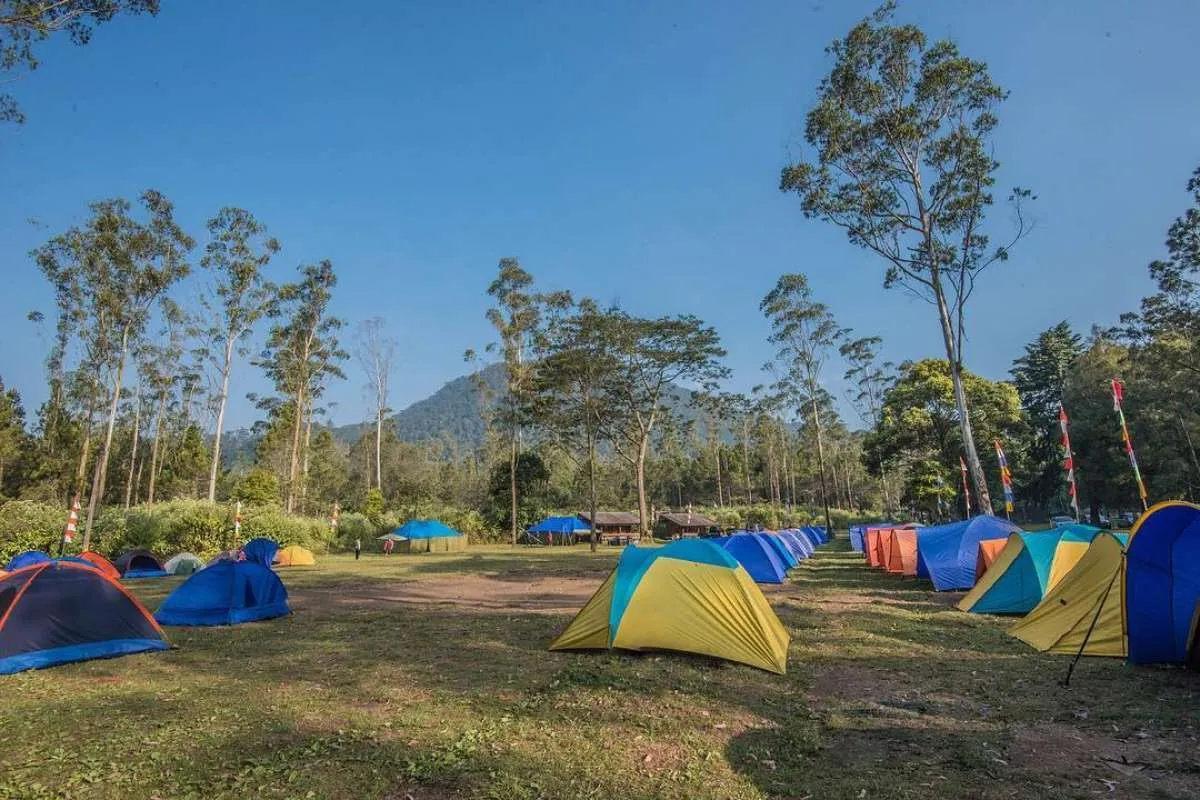 Selain Kawah Putih, Ranca Upas bisa jadi destinasi liburan di Ciwidey