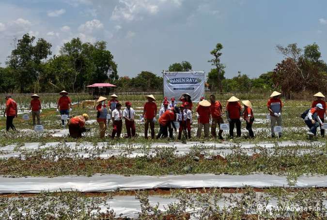 Pertamina Hulu Energi West Madura Offshore (PHE WMO) Gelar Panen Raya