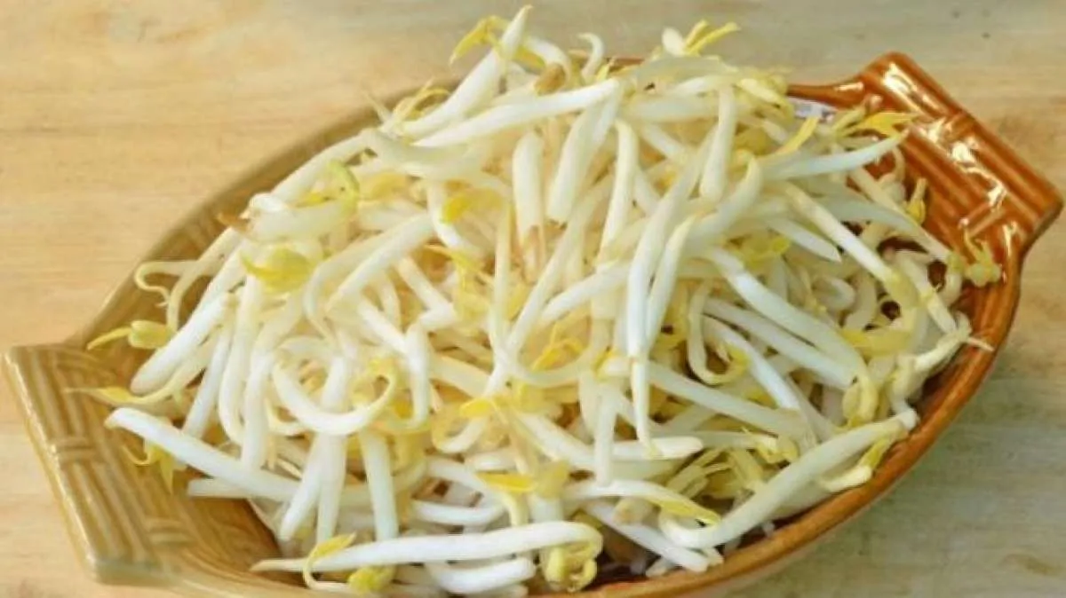 Manfaat Kecambah untuk Kesehatan, Salah Satunya Menyuburkan Rambut 