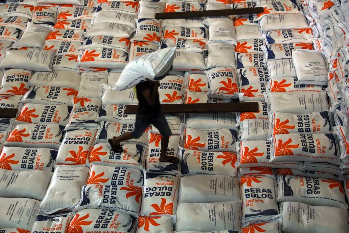 Produksi Beras Menurun, Pengamat Sebut Volume Impor Beras Bisa Bertambah