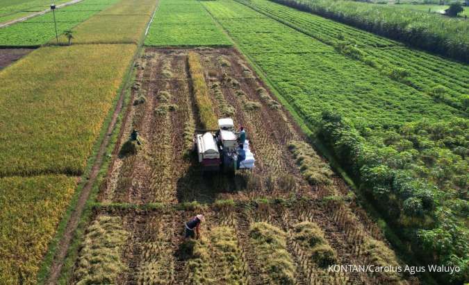 Data BI, Kredit Sektor Pertanian, Peternakan, Perikanan Mencapai Rp 571 Triliun