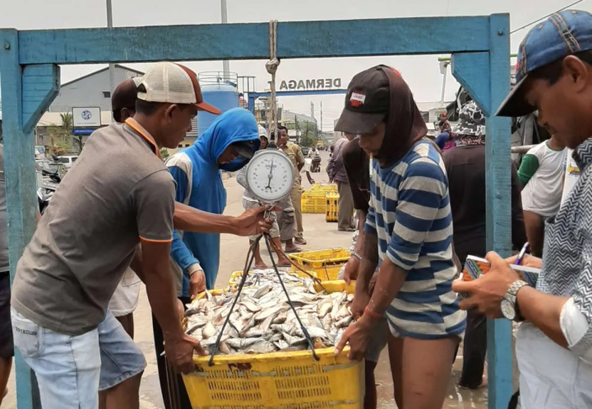 Menyoal perizinan perikanan di perairan lokal (bagian 2)