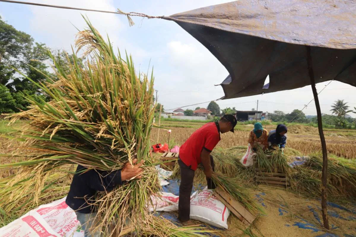 Ini Catatan dari Pengamat untuk Presiden Terpilih Agar Bisa Menekan Impor Pangan