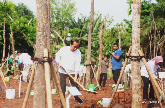 Presiden RI Joko Widodo secara simbolis menanam pohon jenis pulai dalam Gerakan Tanam Pohon Bersama yang dilaksanakan di Hutan Kota Kawasan Industri Pulo Gadung, Jakarta Timur hari ini (29/11).
