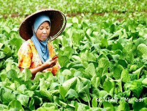 Ekspor sayur tumbuh subur