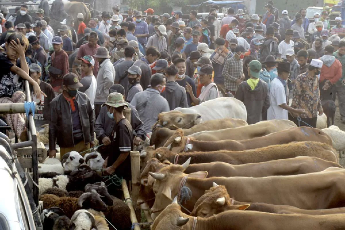 Mobilitas di pemukiman meningkat, ini saran epidemiolog