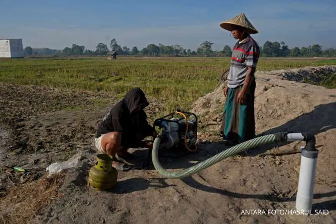 Hujan Tidak Turun di Provinsi Ini Hampir 4 Bulan