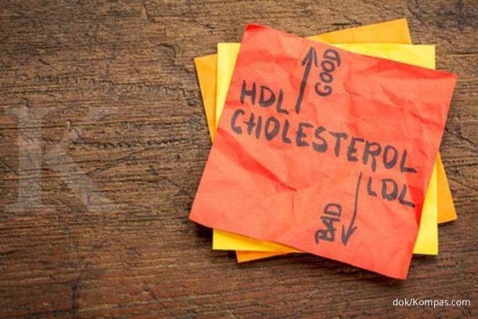 Jumlah kolesterol tinggi bisa jadi penyebab gangguan pada organ peredaran darah manusia.