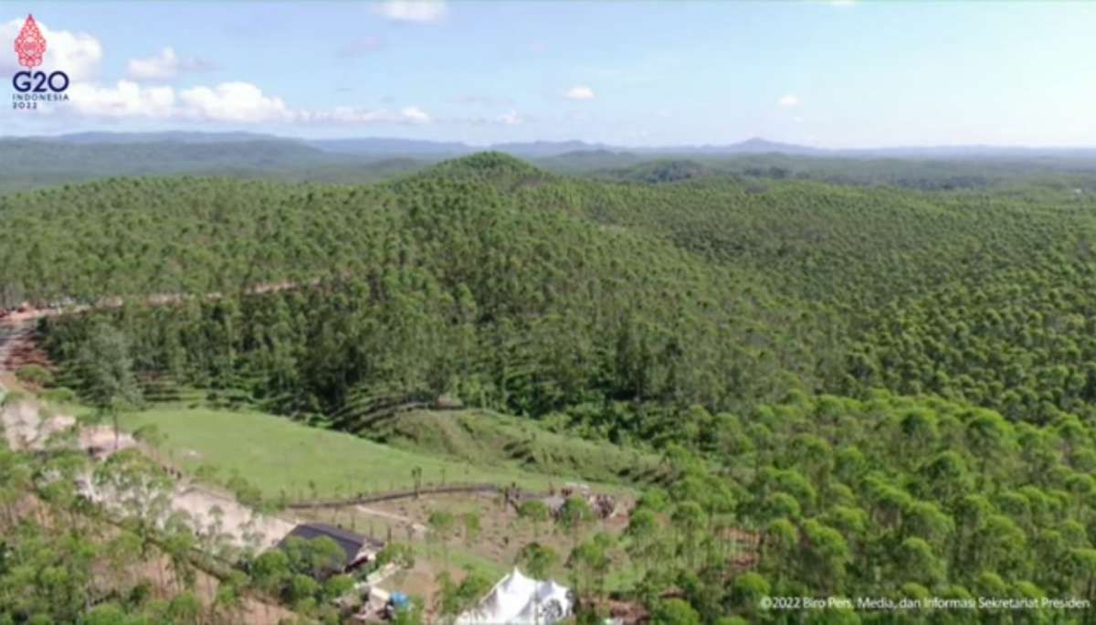 Pemerintah Terus Mencari Investor di Proyek IKN