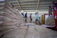 Realisasi Serapan Gabah Petani Sudah 75%, Bulog Optimistis Capai Target Tahun Ini