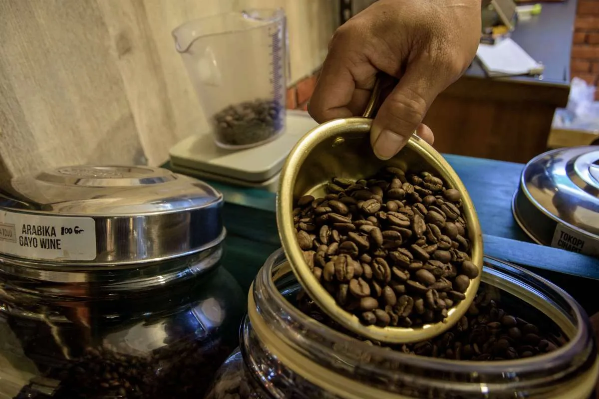 Eksportir Kopi Tersudut Tarif Trump, Diversifikasi Jadi Harapan