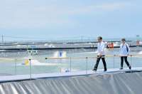 Resmikan Tambak Budidaya Udang di Kebumen, Presiden Minta Daerah Lain Mereplikasi