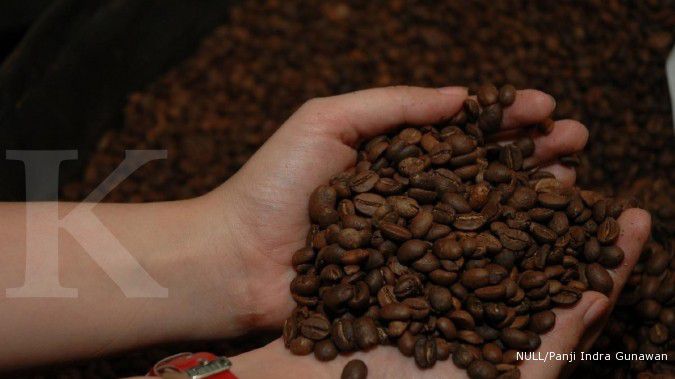 Aroma kopi Manggarai kian mendunia