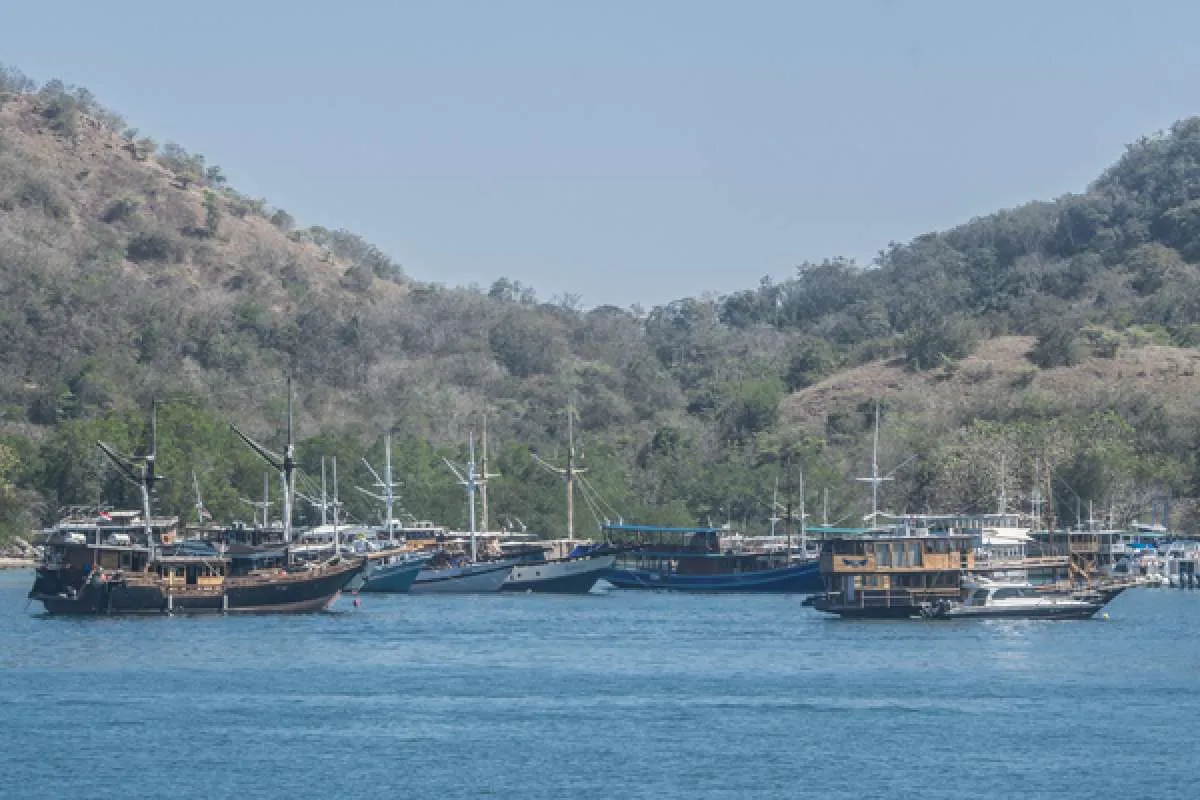 Tetap sehat bersaing dengan swasta, BUMN segera bentuk holding pariwisata