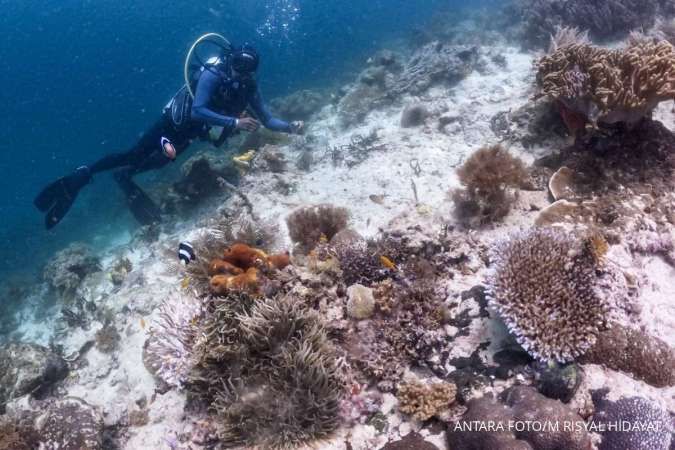 Transplantasi Karang di Sabang Dorong Keberlanjutan Ekonomi Laut