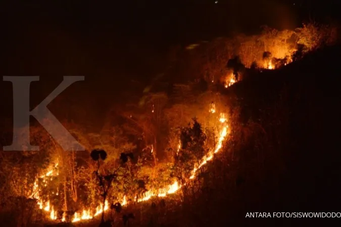 Forest fires in Mt Lawu get worse