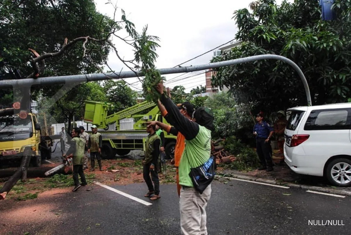 Peringatan dini BMKG: Hari ini waspada angin kencang dan hujan lebat di 13 provinsi