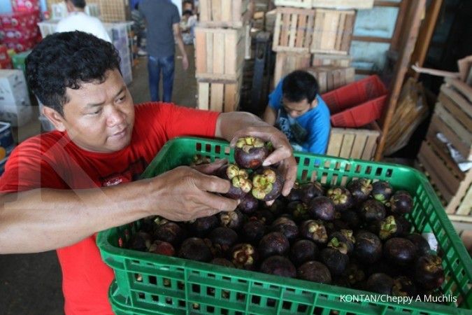 Indonesia akan ekspor 2.000 ton manggis ke China