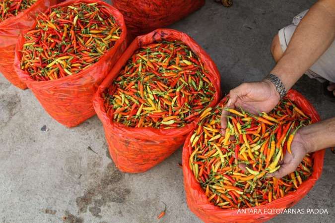 Harga Pangan Hari Ini (12/10): Cabai Rawit, Telur Ayam Ras hingga Daging Sapi Naik