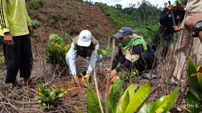 PTPN V Kolaborasi Lakukan Reboisasi Hutan Lindung Bukit Suligi