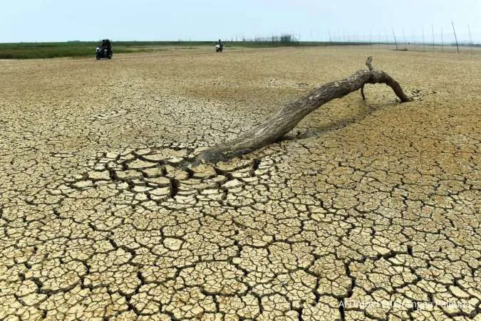 BMKG Beri Peringatan Dini Kekeringan Meteorologis, Daerah Ini Masuk Kategori Awas