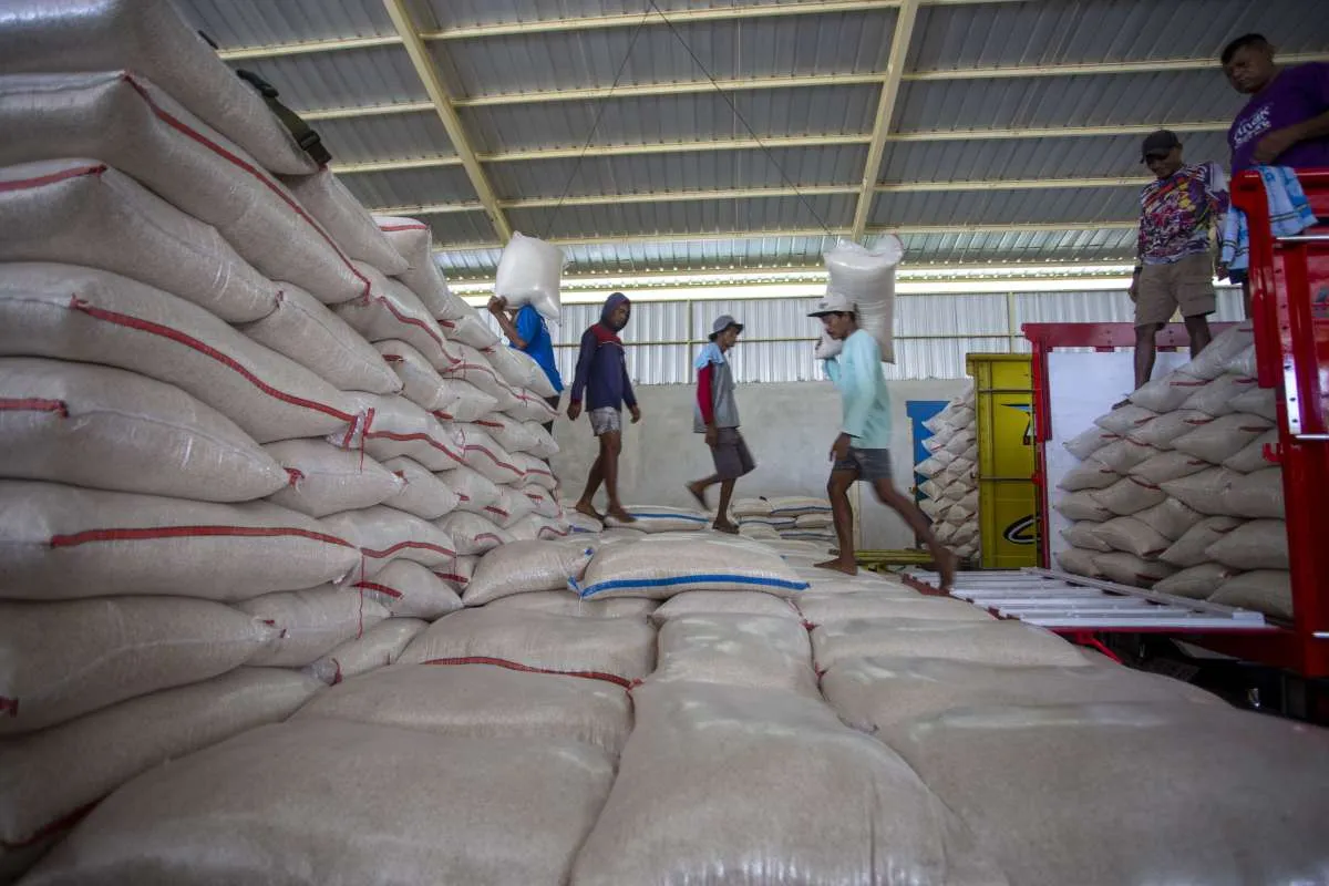 Realisasi Serapan Gabah Petani Sudah 75%, Bulog Optimistis Capai Target Tahun Ini