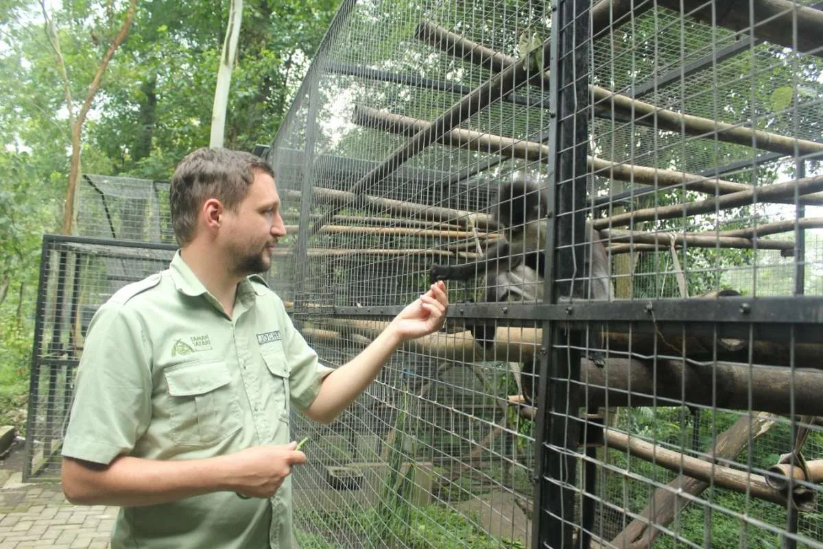 Libur Lebaran 2026: 6 Destinasi Bogor Ini Jaminan Liburan Memukau!