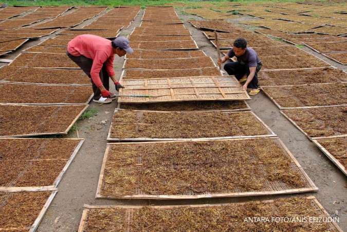 Pemerintah Didorong Susun Roadmap Komprehensif Industri Hasil Tembakau