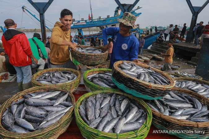 Harga Ikan Tongkol dan Bandeng Naik Signifikan di Aceh, Selasa (26/11)