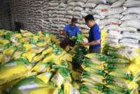 BPS Catat Harga Beras Premium dan Medium Kompak Naik pada Agustus 2025