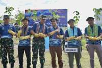 Pelindo Terminal Petikemas Tanam 5.000 Pohon di Embung Noelpopo, Kupang