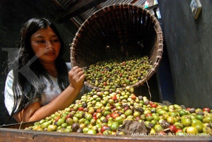 Sulut bidik ekspor kopi ke Italia & China