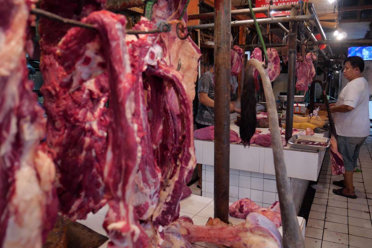Surplus Ketersediaan Daging Sapi