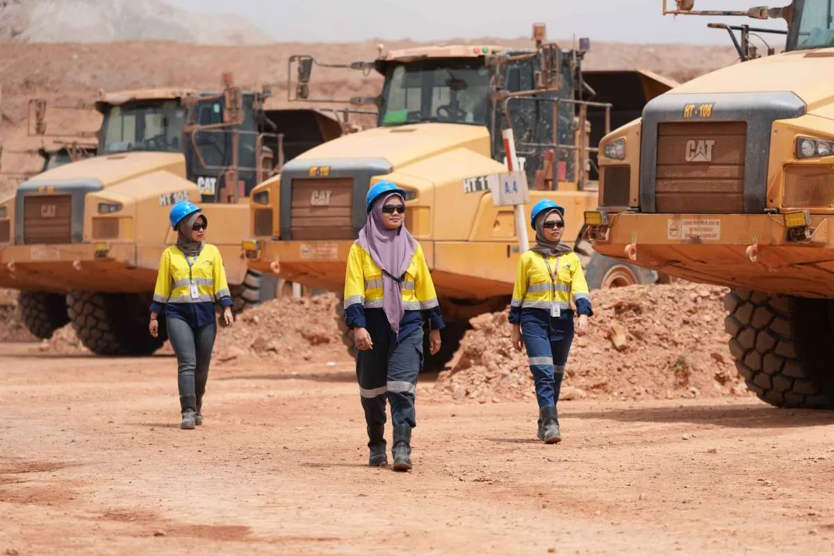 Freeport, BRMS dan MDKA Buka Suara Soal Dampak Potensi Bea Keluar untuk Emas